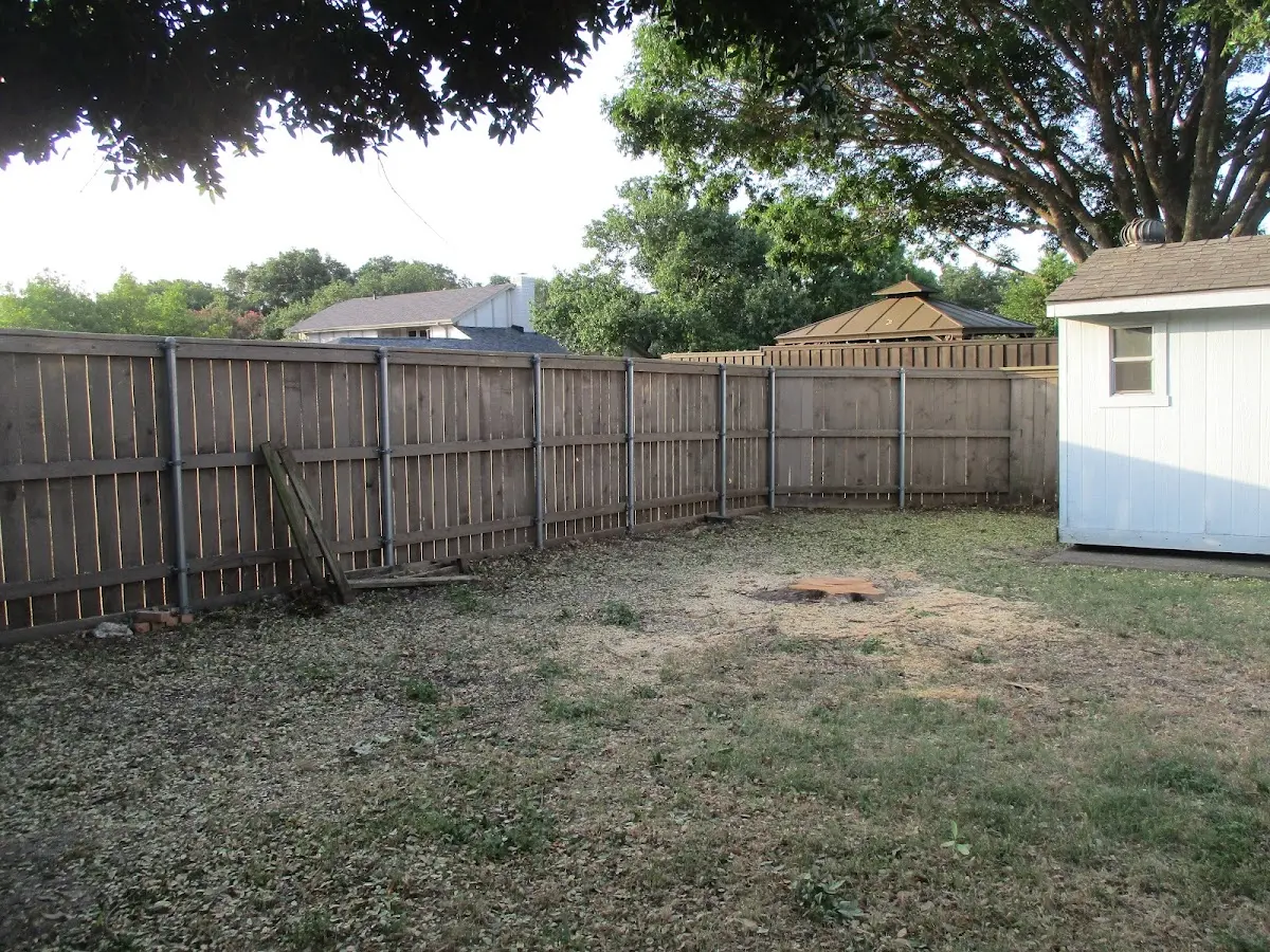 Cleared yard after professional tree removal in Asbury